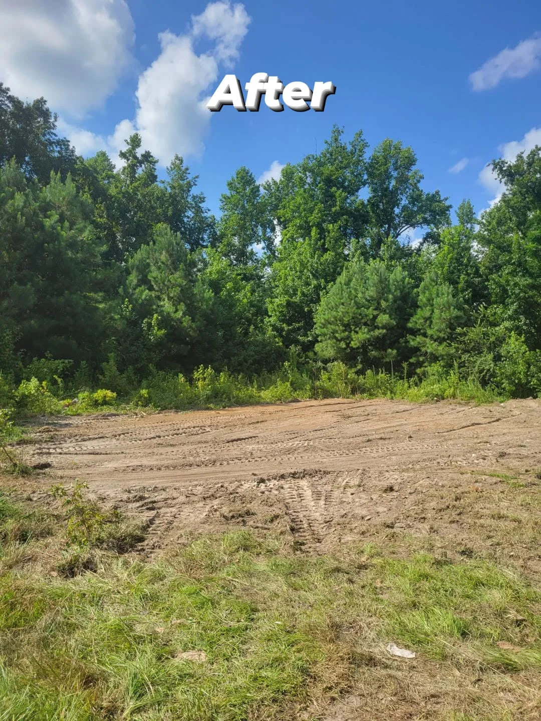 Land clearing after — cleared and graded dirt lot with tree line in background