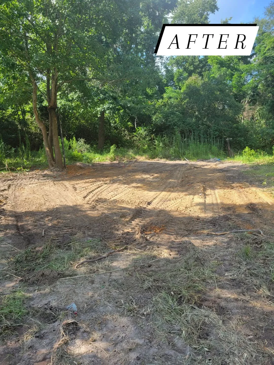 Cleared wooded lot with graded earth, removed vegetation, and mature trees remaining at perimeter